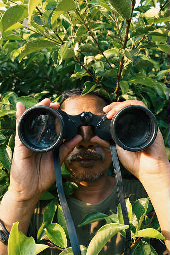 Return of the Rumour Mill